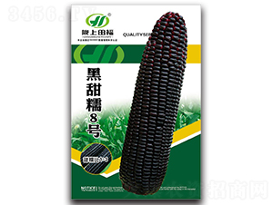 ����Ŵ8̖-���׷N��-�︣�r(n��ng)�I(y��)