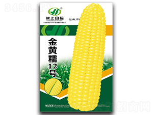 ���SŴ12̖-���׷N��-�︣�r(n��ng)�I(y��)