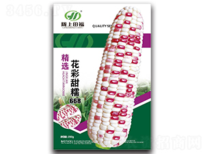 ������Ŵ668-���׷N��-�︣�r(n��ng)�I(y��)