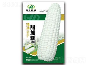 ���x���Ŵ6118-���׷N��-�︣�r(n��ng)�I(y��)