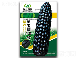 ����Ŵ10̖-���׷N��-�︣�r(n��ng)�I(y��)