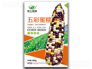 五彩蜜糯-玉米種子-田福農(nóng)業(yè)