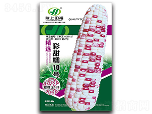 彩甜糯10號-玉米種子-田福農(nóng)業(yè)