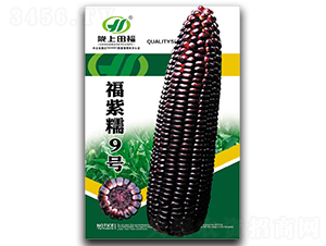 ����Ŵ9̖(h��o)-���׷N��-�︣�r(n��ng)�I(y��)