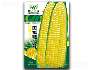 田福糯2號-玉米種子-田福農(nóng)業(yè)