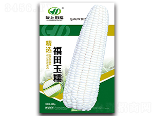 福田玉糯-玉米種子-田福農(nóng)業(yè)