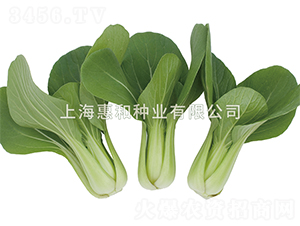 С����̖-��˷N��-�ݺͷN�I(y��)