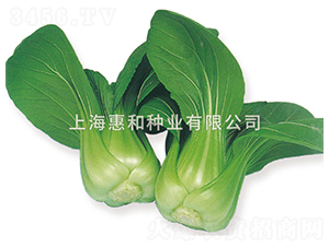 ����-��˷N��-�ݺͷN�I(y��)