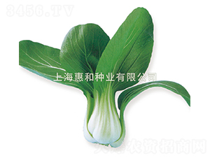 ƽ����̖(h��o)-��˷N��-�ݺͷN�I(y��)