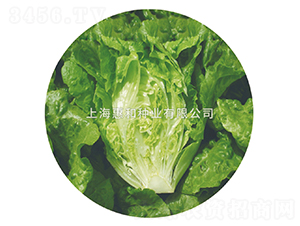 �G��-���˷N��-�ݺͷN�I(y��)