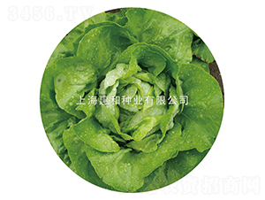 �Gõ��-���˷N��-�ݺͷN�I(y��)