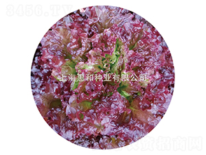 ���G-���˷N��-�ݺͷN�I(y��)