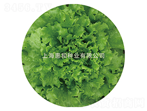 ����-���˷N��-�ݺͷN�I(y��)