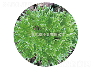 ����-���˷N��-�ݺͷN�I(y��)