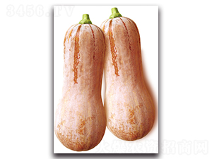 ������-�ϹϷN��-�������r(n��ng)�I(y��)