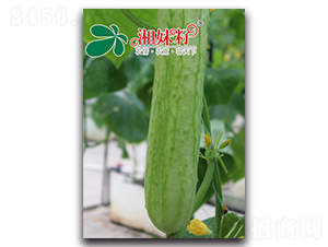 �߈@��̖(h��o)-�S�ϷN��-�������r(n��ng)�I(y��)