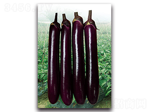 �ϼt�L(zh��ng)��-���ӷN��-�������r(n��ng)�I(y��)