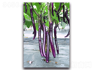 ����-���ӷN��-�������r�I(y��)