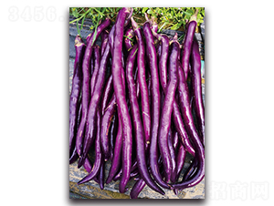 ��(y��u)��-���ӷN��-�������r�I(y��)