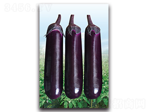 AAA��������-���ӷN��-�������r(n��ng)�I(y��)