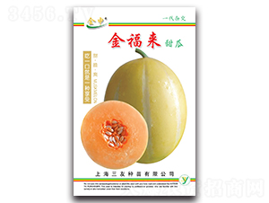 金福來甜瓜-甜瓜種子-三友
