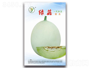 �G��-��ϷN��-����