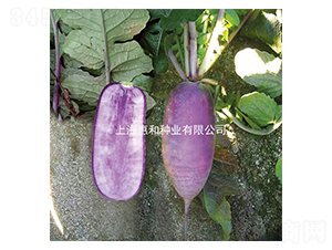 ������-�}���N��-�ݺͷN�I(y��)