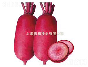 �t����-�}���N��-�ݺͷN�I(y��)