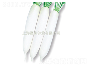 ����-�}���N��-�ݺͷN�I(y��)