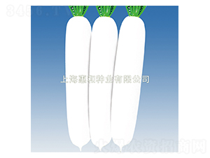 ����ʹ-�}���N��-�ݺͷN�I(y��)