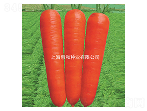 �t��107-���}���N��-�ݺͷN�I(y��)