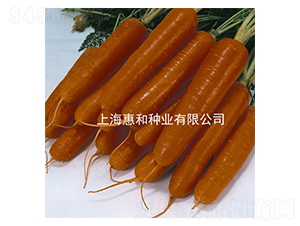 �tʥ��̖(h��o)-���}���N��-�ݺͷN�I(y��)