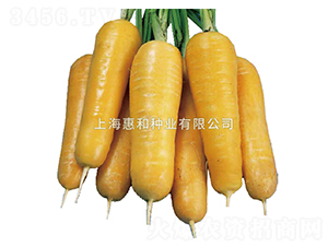 ����EX-���}���N��-�ݺͷN�I(y��)