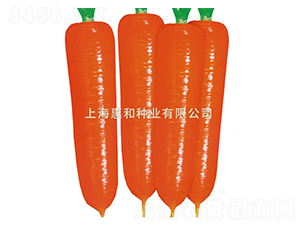 �tʥʮ̖(h��o)-���}���N��-�ݺͷN�I(y��)