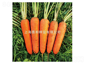 ِ�t-���}���N��-�ݺͷN�I(y��)