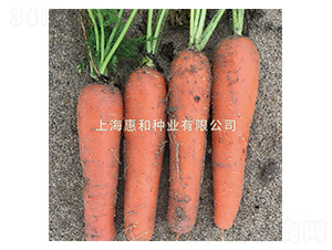 �tʥ��̖(h��o)-���}���N��-�ݺͷN�I(y��)