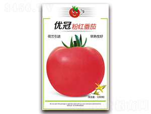 ��(y��u)��-���ѷN��-����N�I(y��)