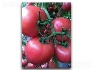 HL628-���ѷN��-����N�I(y��)