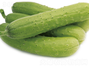 �G��2̖(h��o)-�S�ϷN��-ɽ�|��Դ