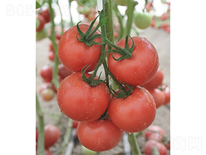 �ۼ�112-���ѷN��-ɽ�|��Դ