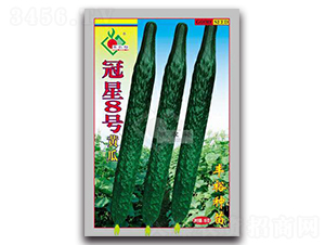 ����8̖(h��o)-�S�ϷN��-�Sԣ�r(n��ng)�I(y��)