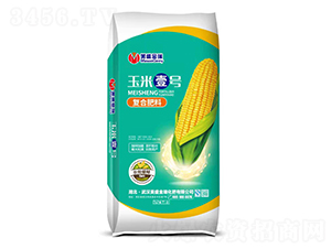 ���׌��ÏͺϷ���-��ʢ����