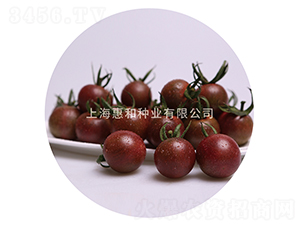 �������̖-С���ѷN��-�ݺͷN�I(y��)