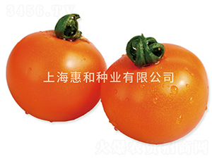 �SСѾ-С���ѷN��-�ݺͷN�I(y��)