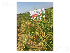 ��Ƀ�(y��u)3206-ˮ���N��-�����r(n��ng)�I(y��)