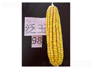 ����98-���׷N��-����N�I(y��)