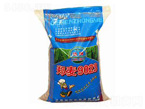 ����9023-С���N��-����N�I(y��)