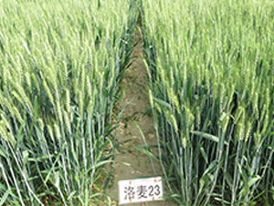 ����23-С���N��-����N�I(y��)