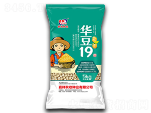 �A��19-�󶹷N��-���շN�I(y��)