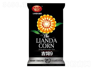 ���9-���׷N��-(li��n)�_�N�I(y��)